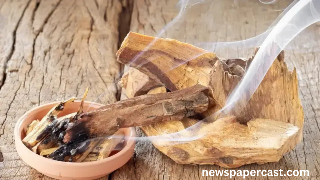 Where Does Palo Santo Come From and What Is it Used For