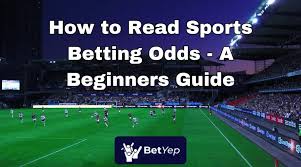 How to View Online Odds Quickly and Easily for Beginners