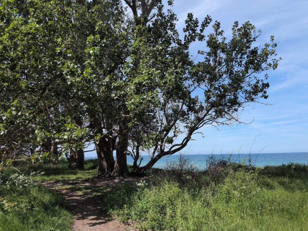National Coastal Path Nears Completion After Decade A coastal path above the sea
