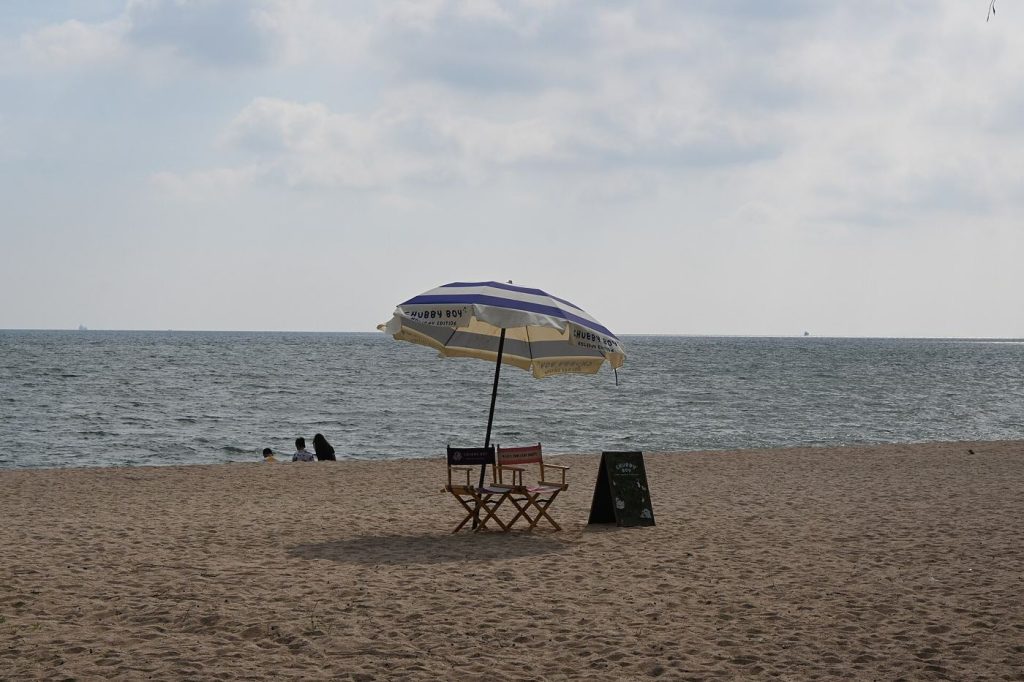 Swimmers in open water